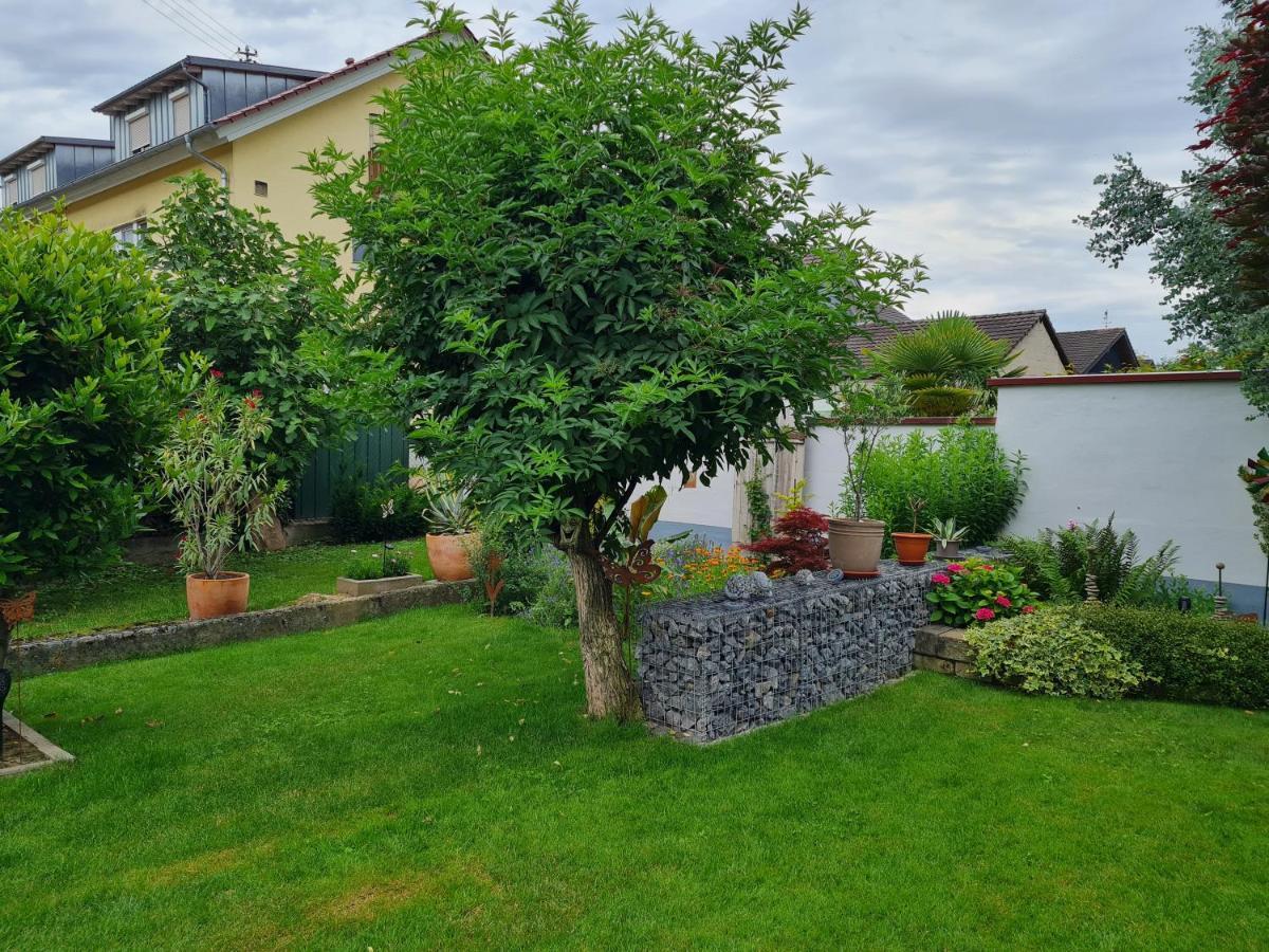 Haus Schneider Apartment Kappel-Grafenhausen Luaran gambar